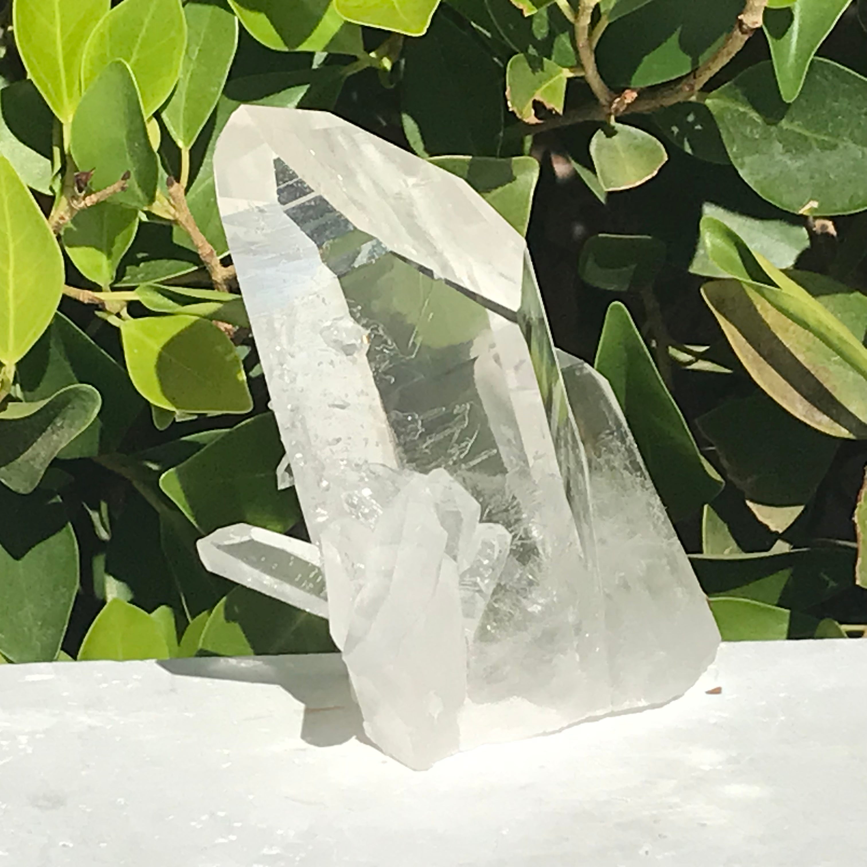 Crystal Growth on Lemurian Crystal Cluster
