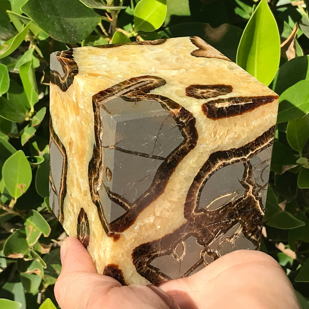Polished Septarian Cube