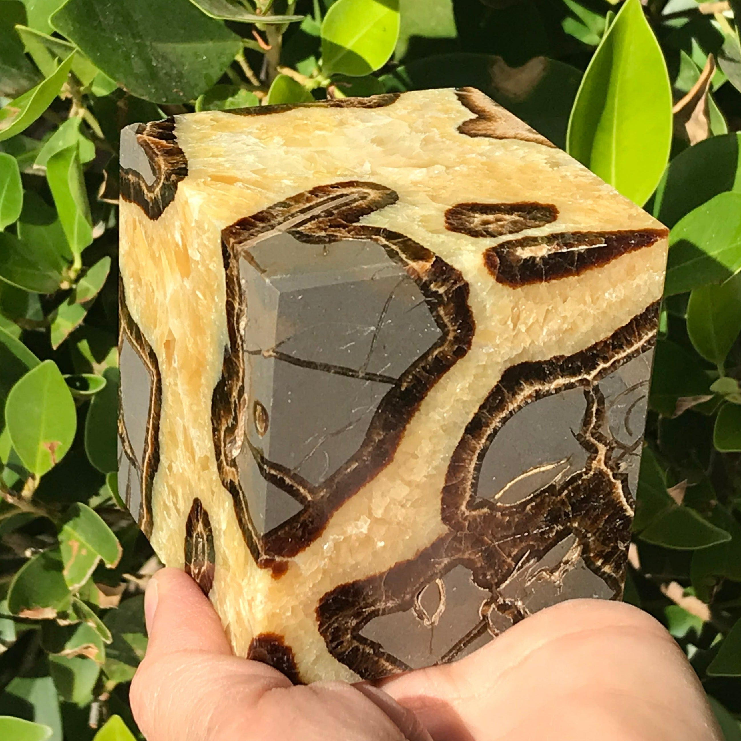 Polished Septarian Cube