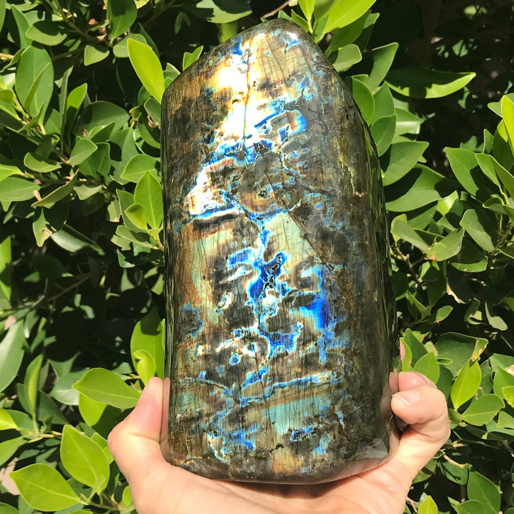 Intricate Patterned Labradorite Freeform