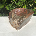 Multihued Petrified Wood Bowl