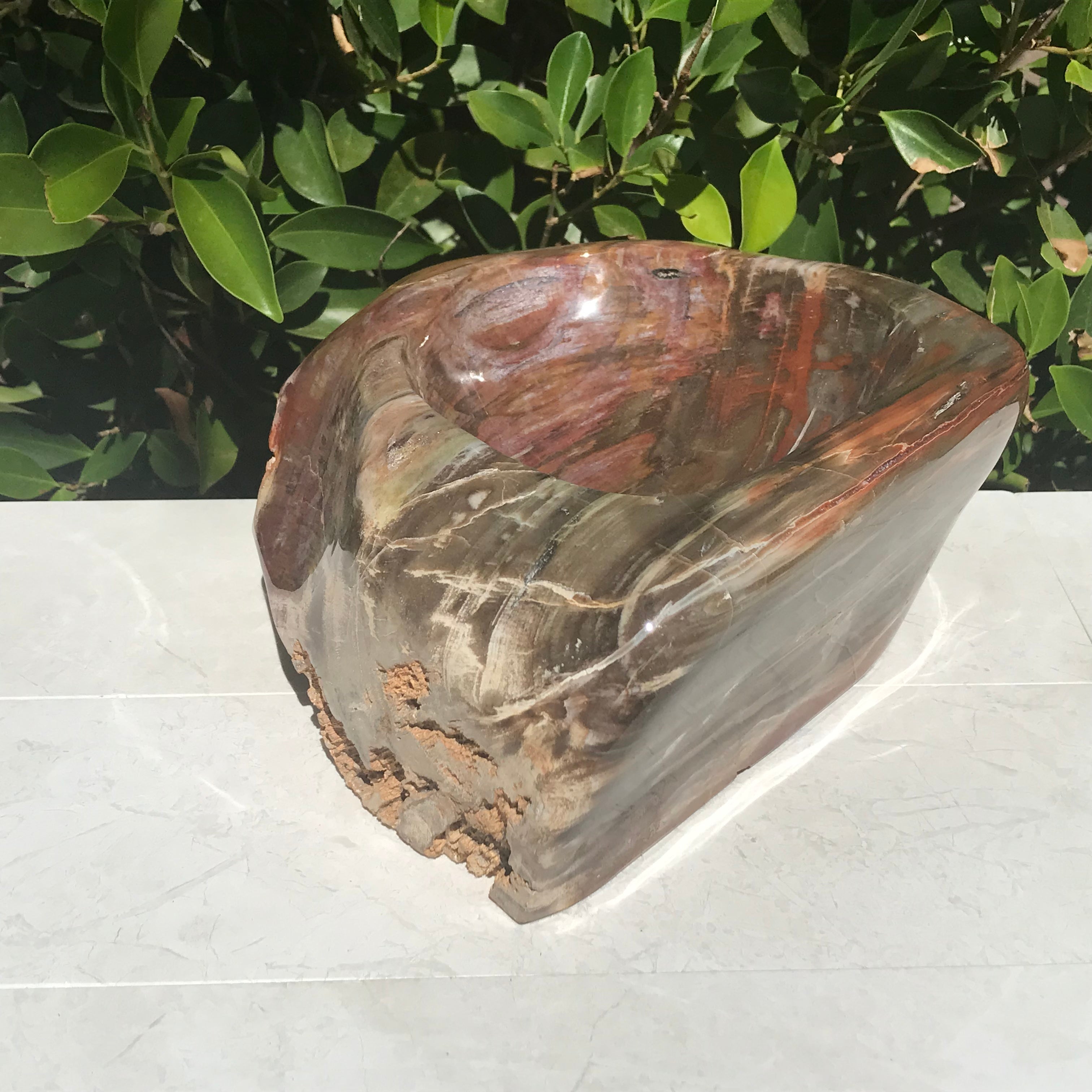 Multihued Petrified Wood Bowl