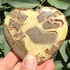 Hand Polished Septarian Heart