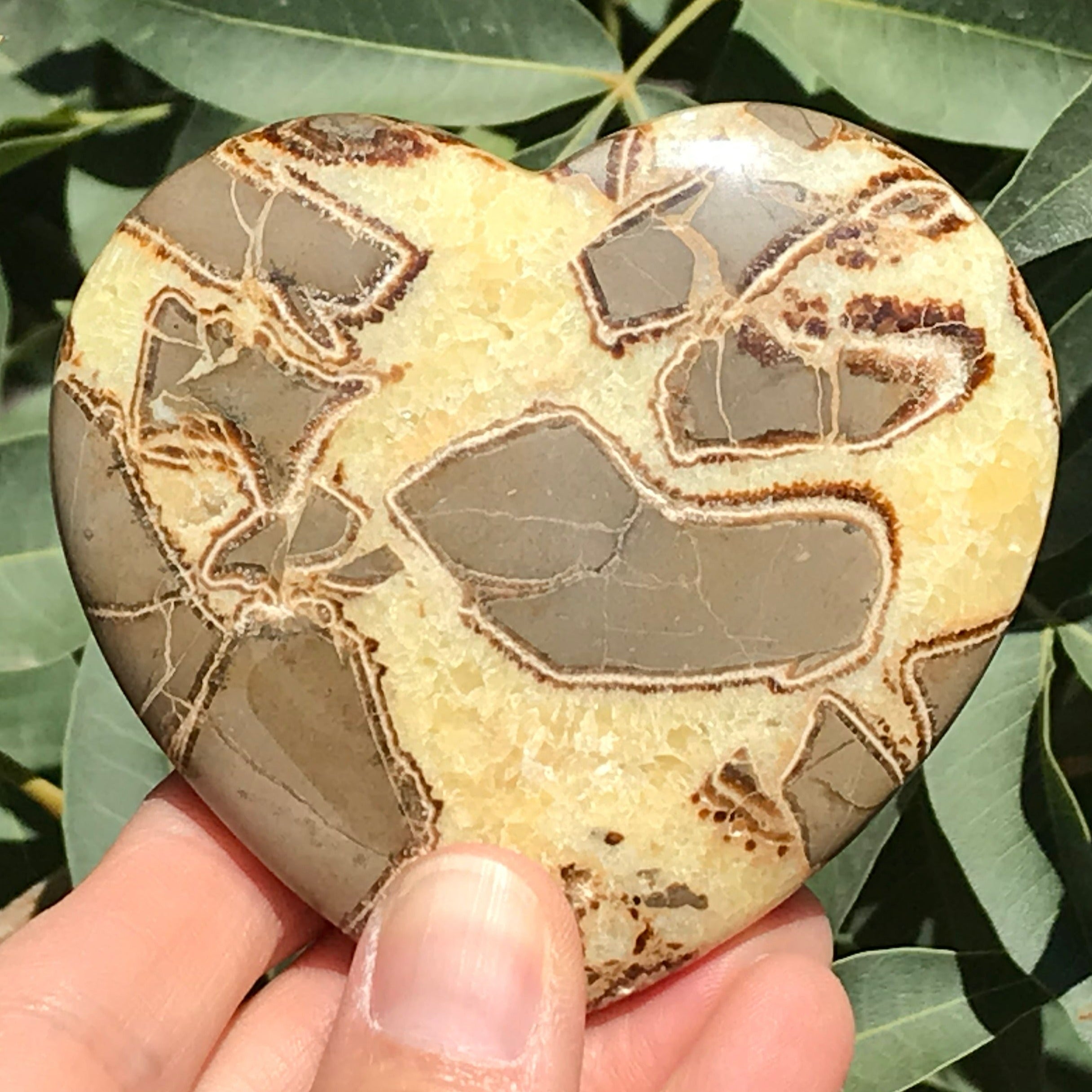 Hand Polished Septarian Heart