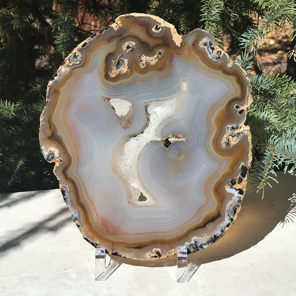 Radiant Brazilian Agate Slice