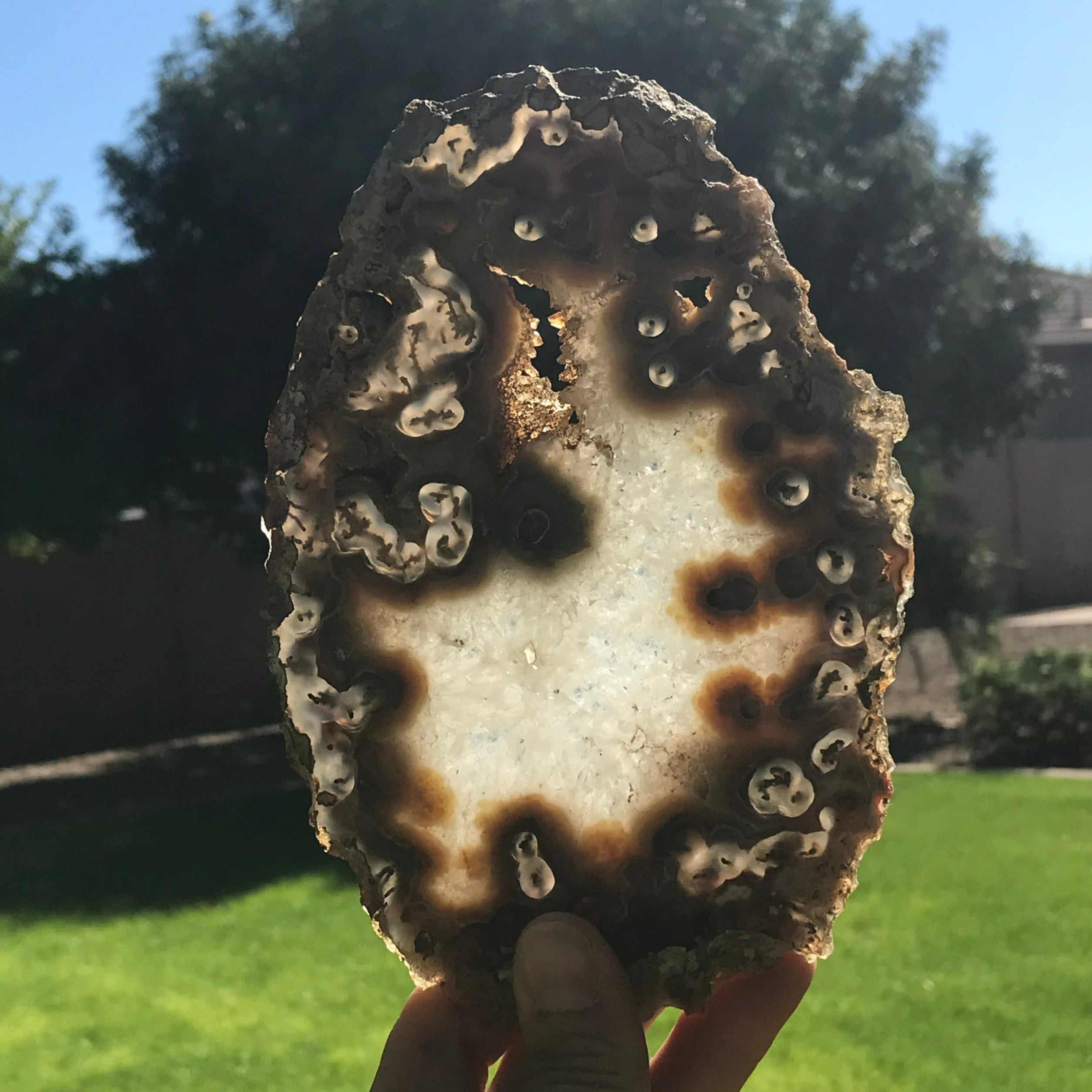 Red and Tan Banded Eyes Agate Slice