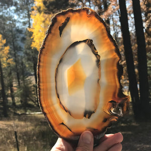 Concentric Banded Agate Slice