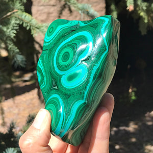 Bold Spherical Bands of Malachite and Chrysocolla Nodule