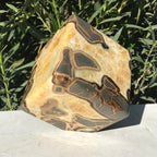 Standing Septarian Cube