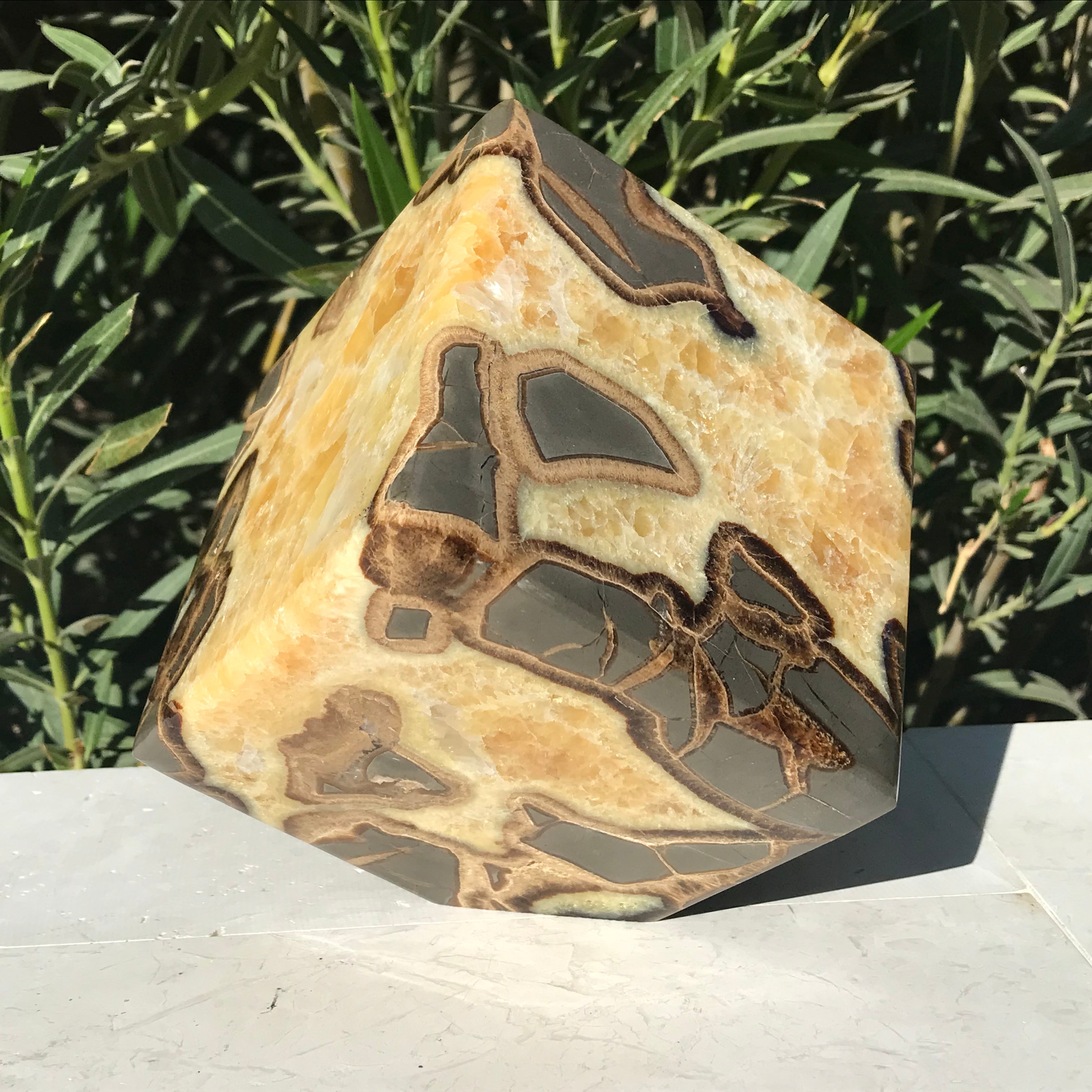 Standing Septarian Cube