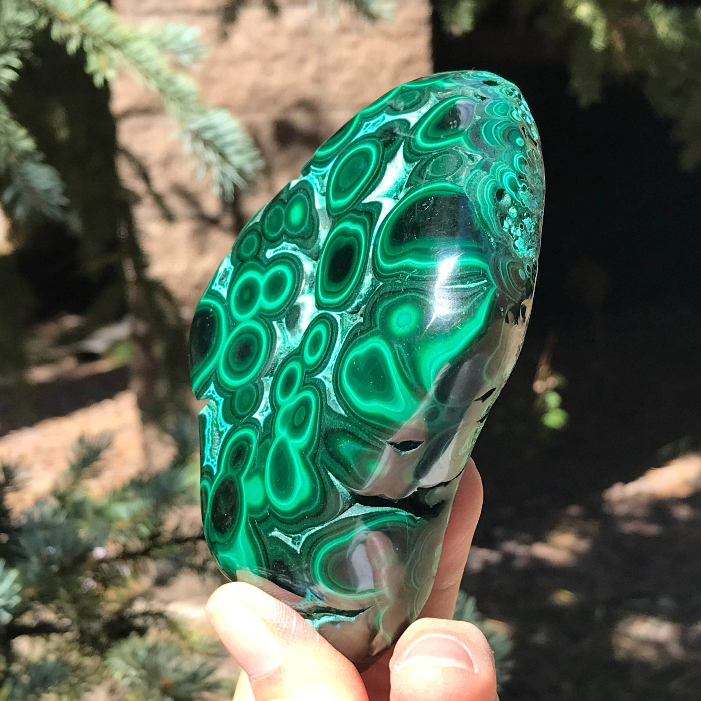 Prominant Orbbed Malachite with Chrysocolla