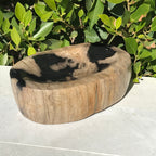 Polished Petrified Wood Bowl