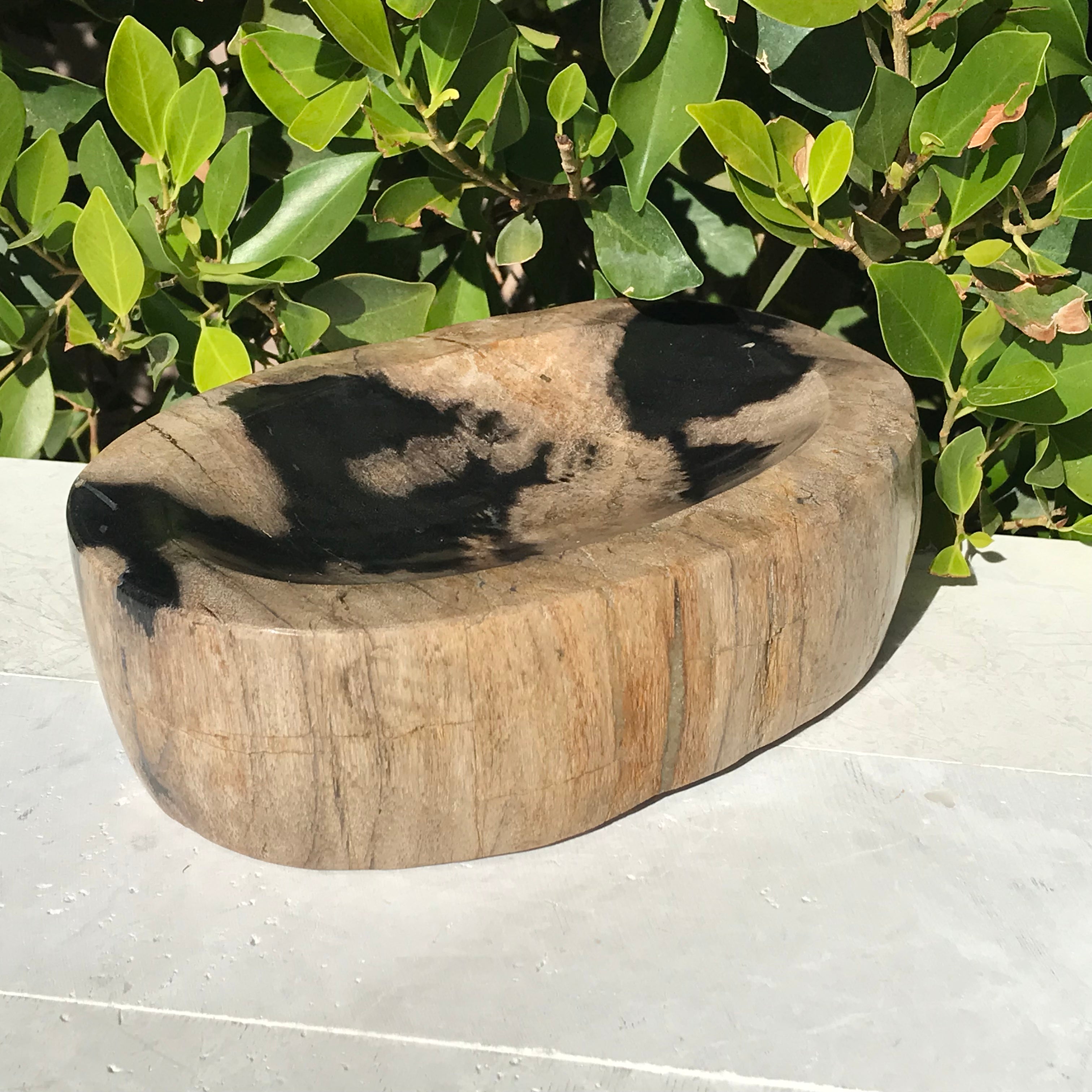 Polished Petrified Wood Bowl