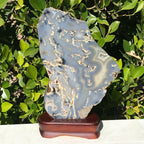 Brazilian Agate Freeform