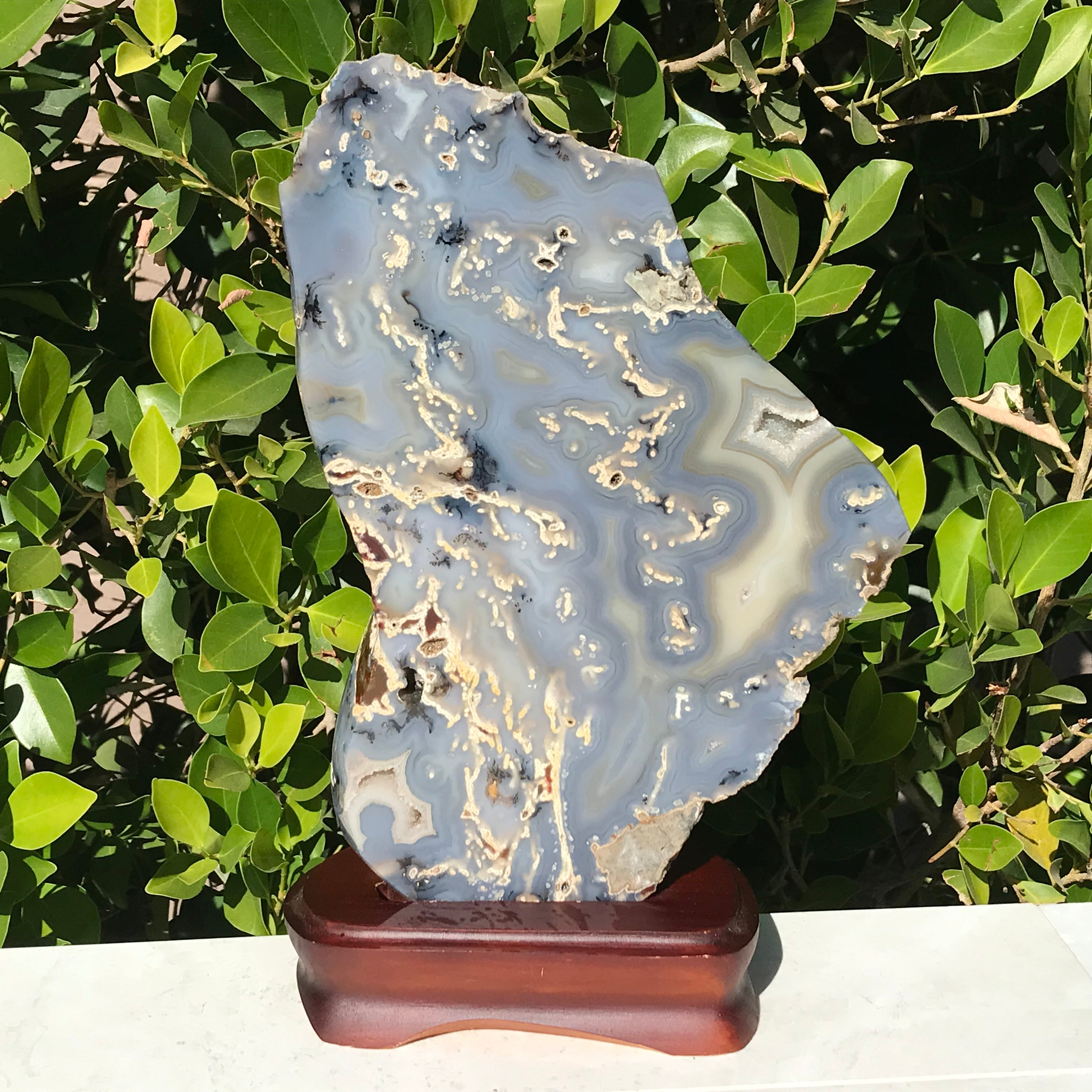 Brazilian Agate Freeform