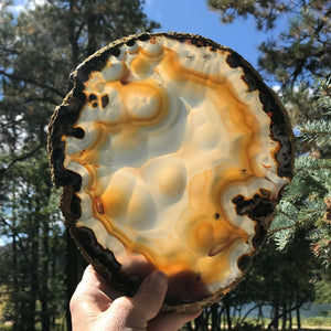 Bubbled Brazilian Agate Slice