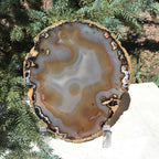 Bubbled Brazilian Agate Slice