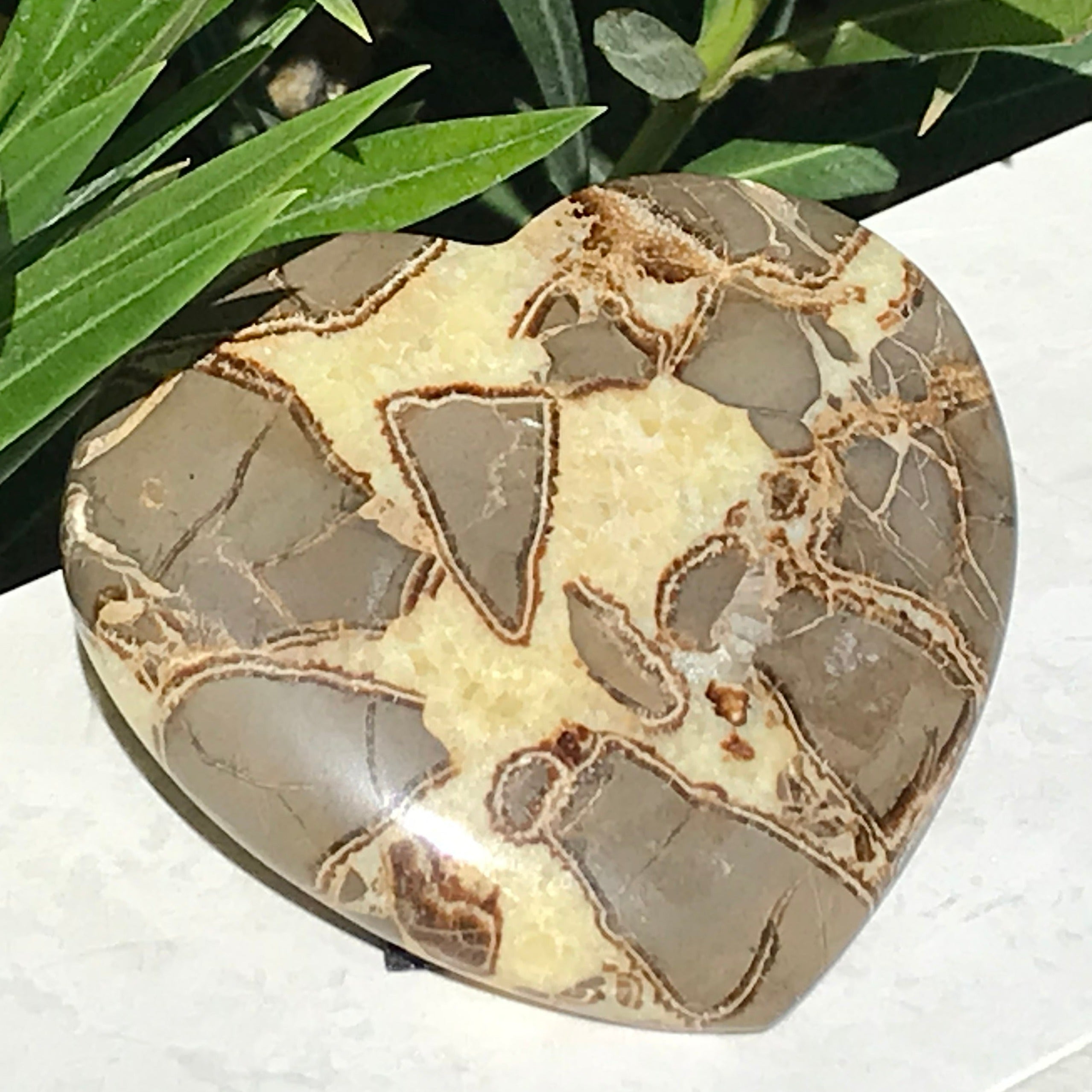 Hand Polished Septarian Heart