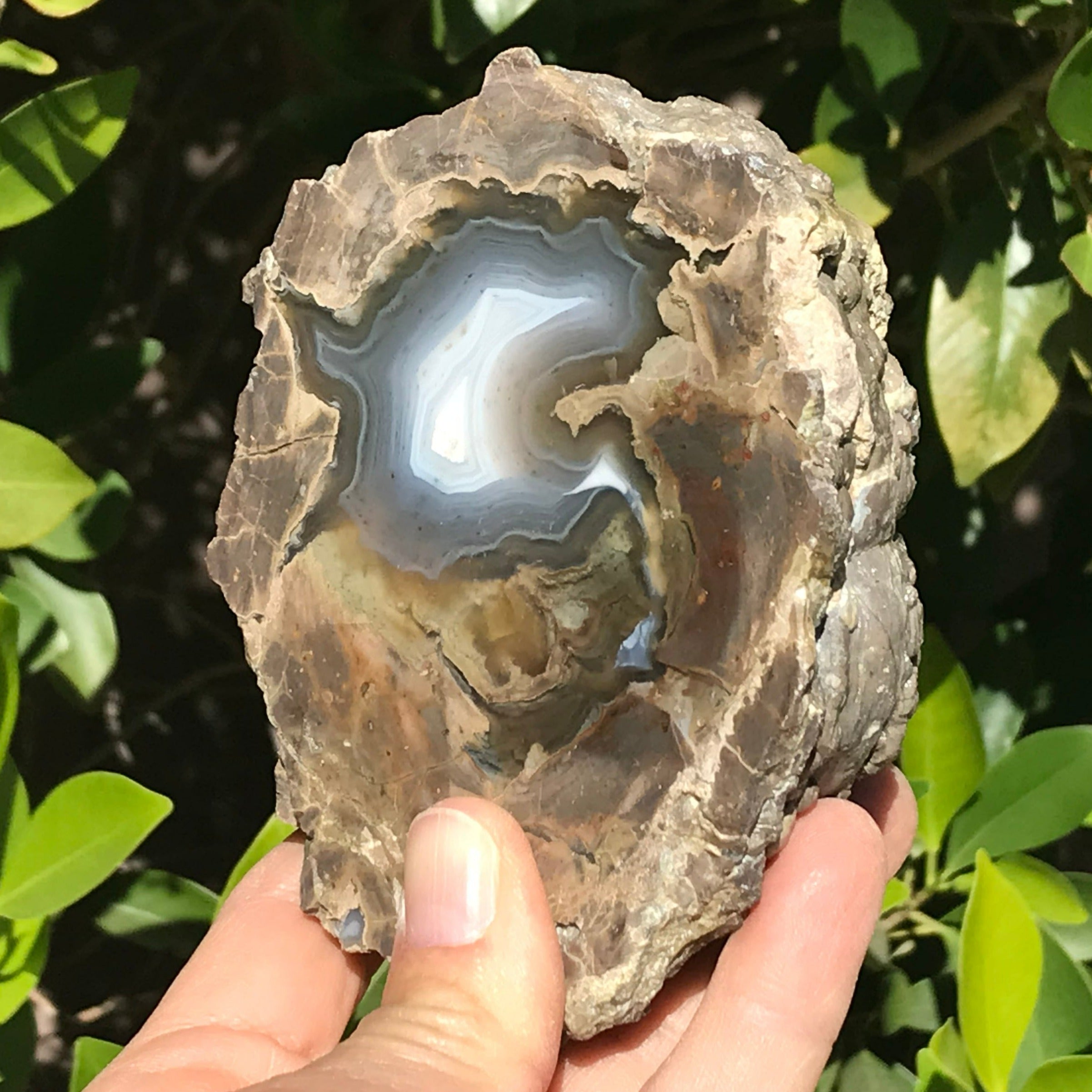 Blue Banded Dugway Geode