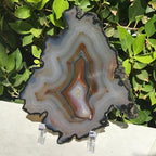 Myriad of Banding Agate Slice