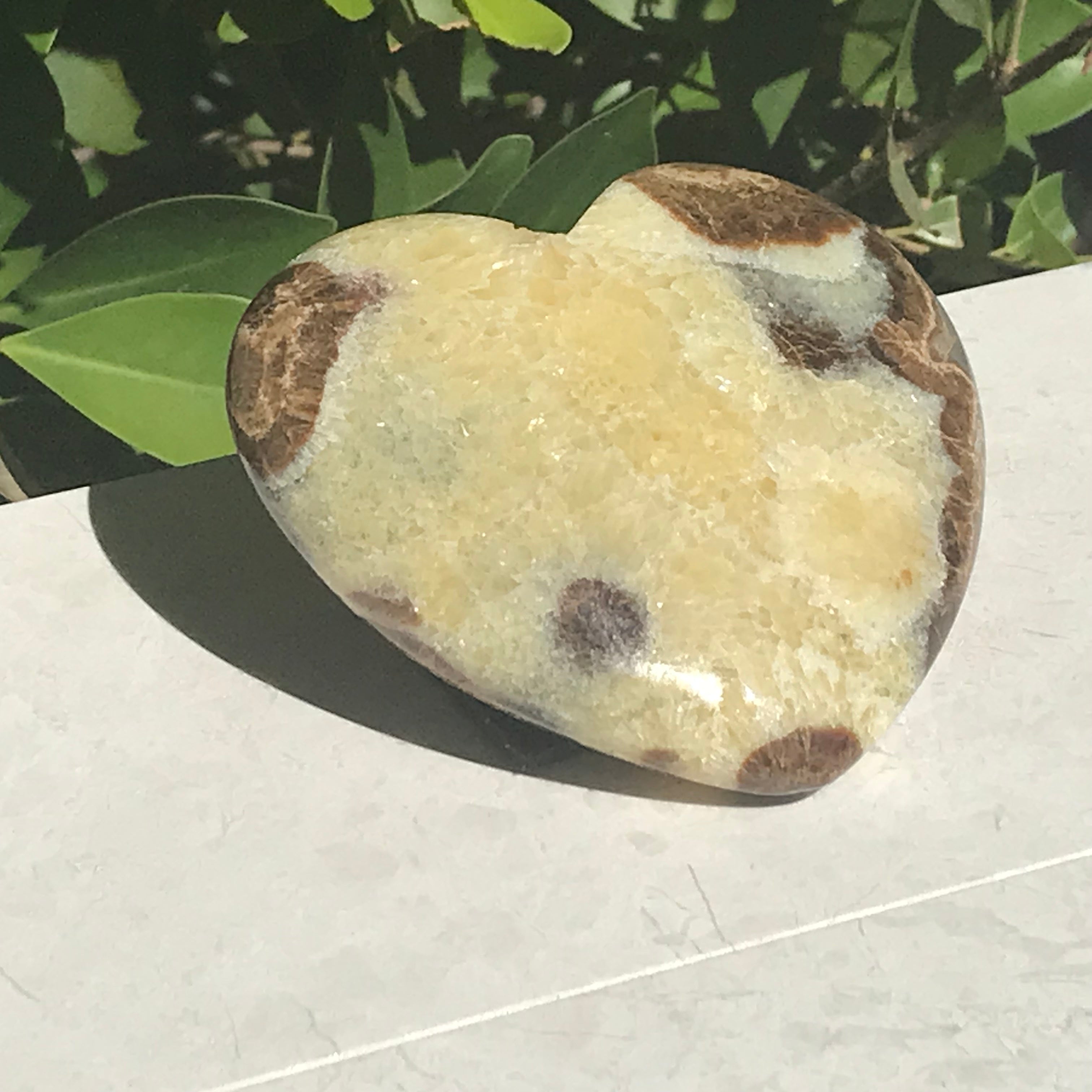 Utahn Septarian Heart