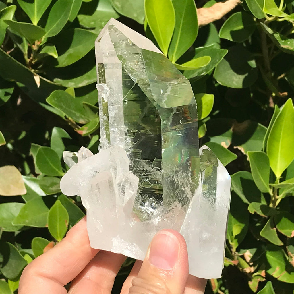 Crystal Growth on Lemurian Crystal Cluster