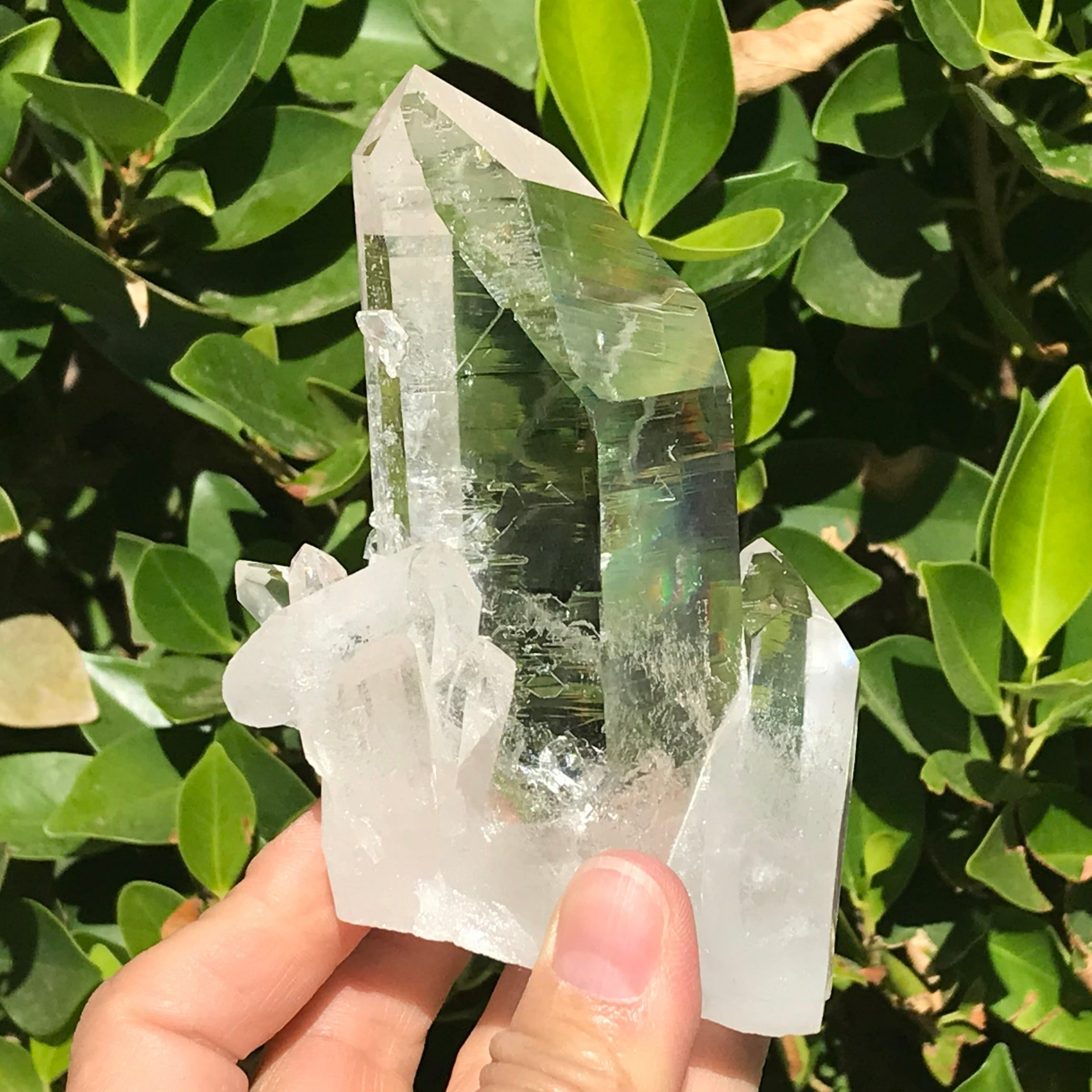 Crystal Growth on Lemurian Crystal Cluster