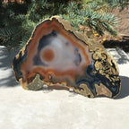 Orange Eyed Brazilian Agate Slice
