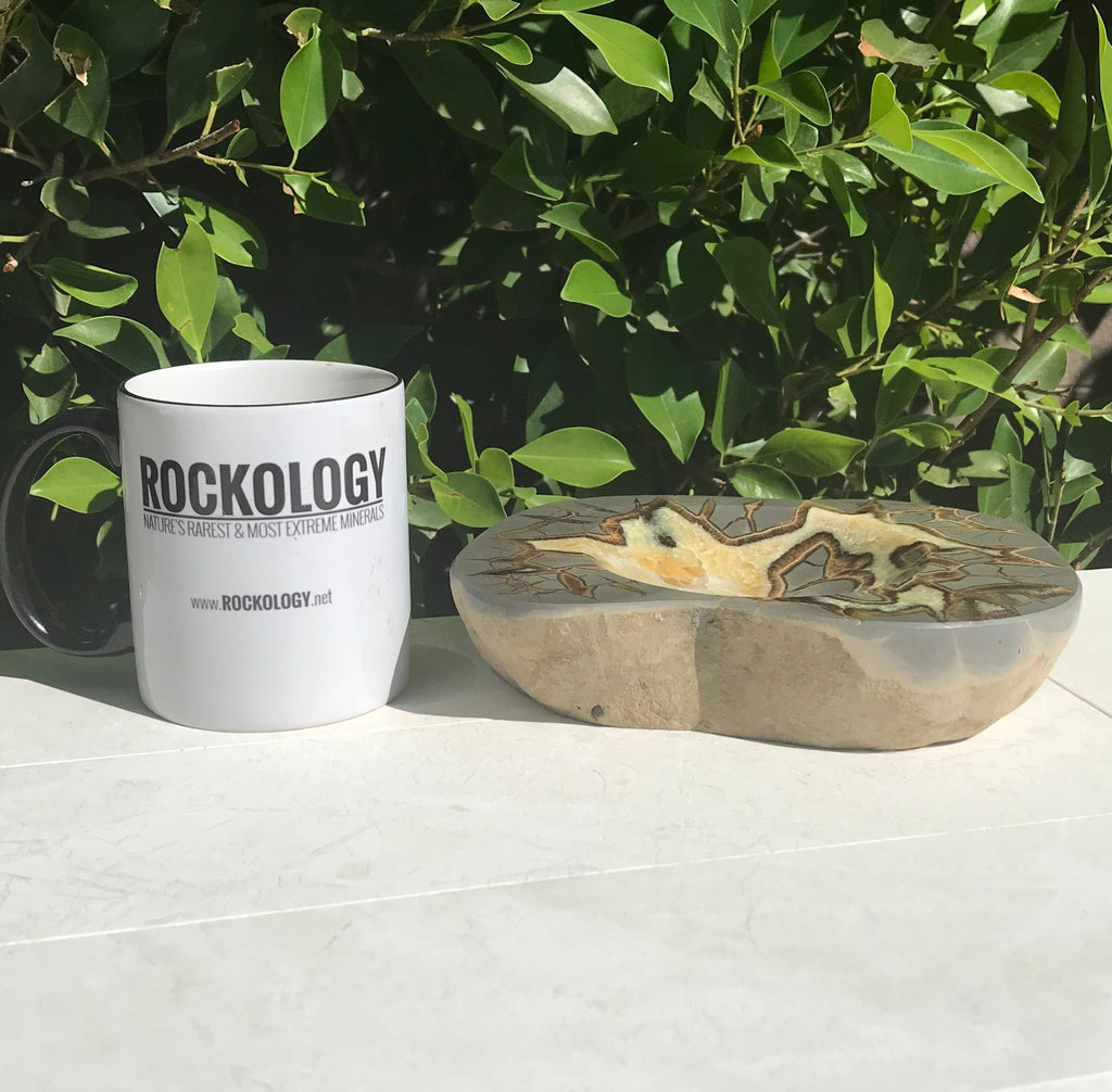 Patterned Septarian Bowl