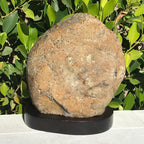 Agate Eye RimmedvAmethyst Geode