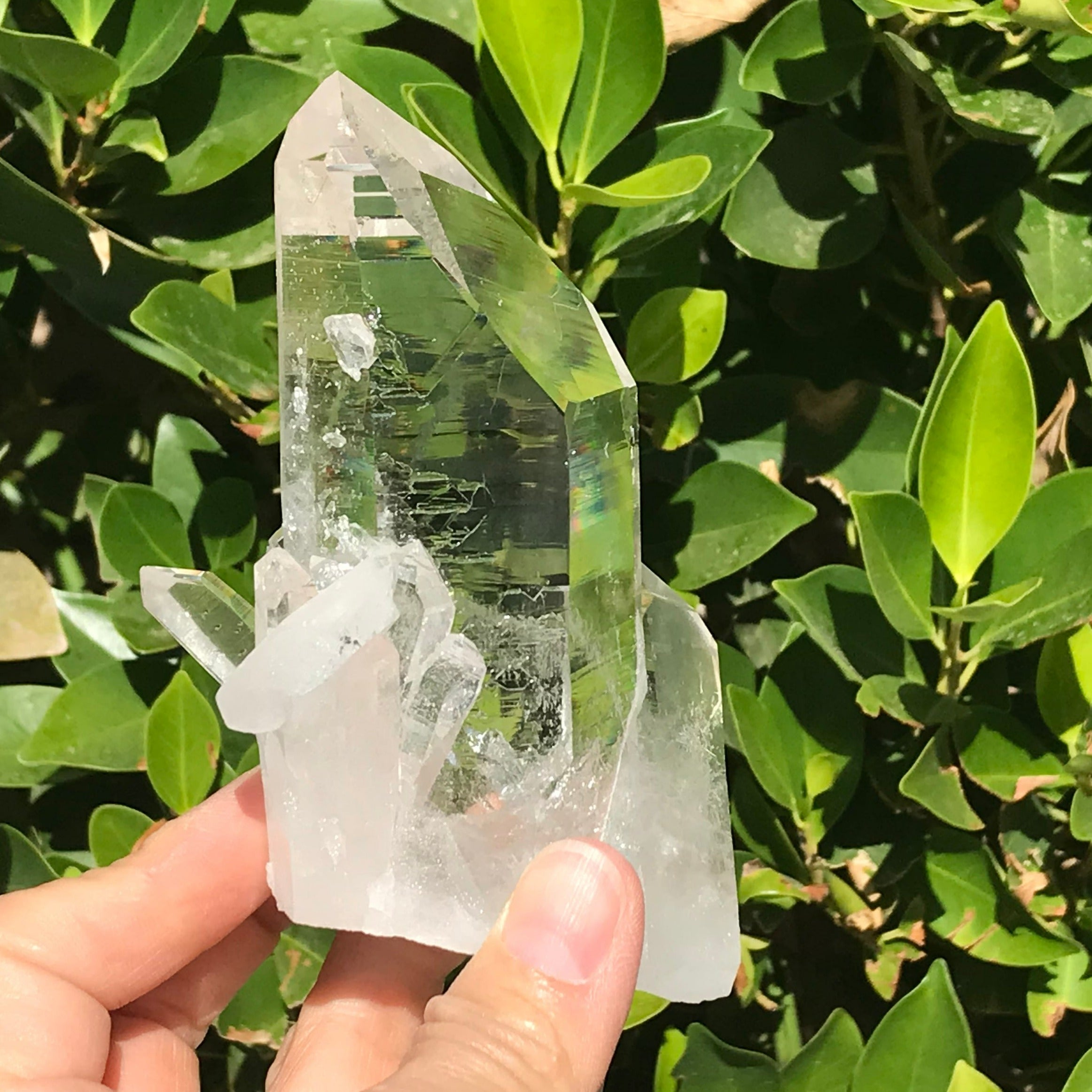 Crystal Growth on Lemurian Crystal Cluster