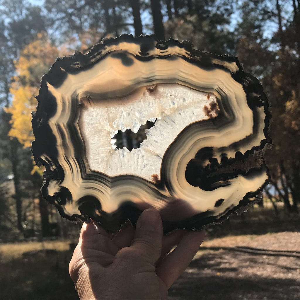 Bold Banded Agate Slice