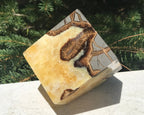 Crackle Patterned Septarian Cube