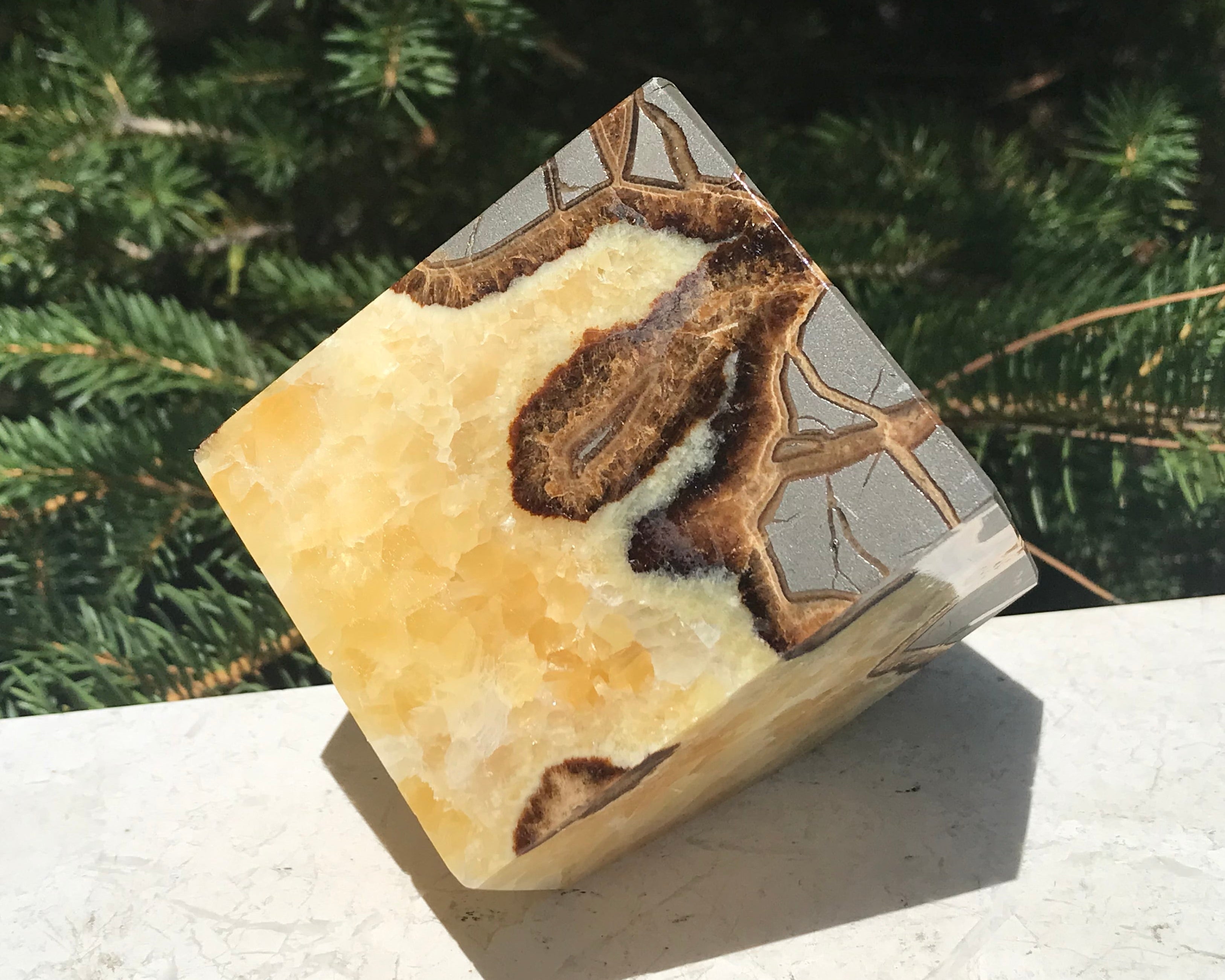 Crackle Patterned Septarian Cube