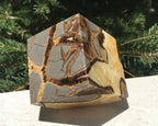 Crackle Patterned Septarian Cube