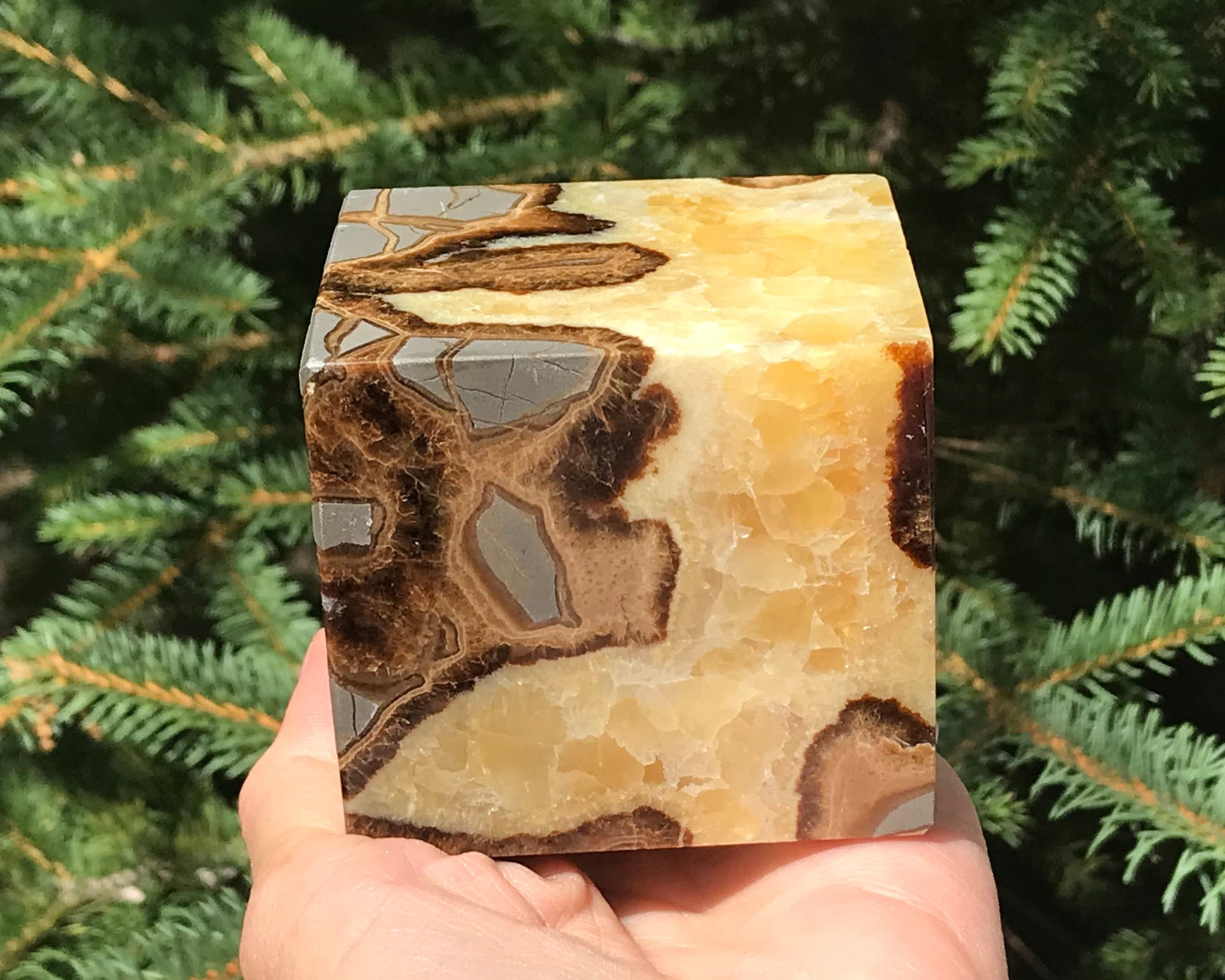 Crackle Patterned Septarian Cube