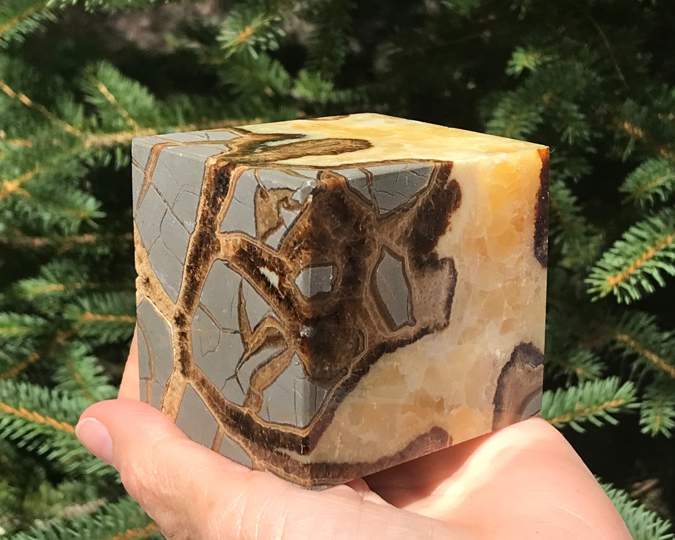Crackle Patterned Septarian Cube