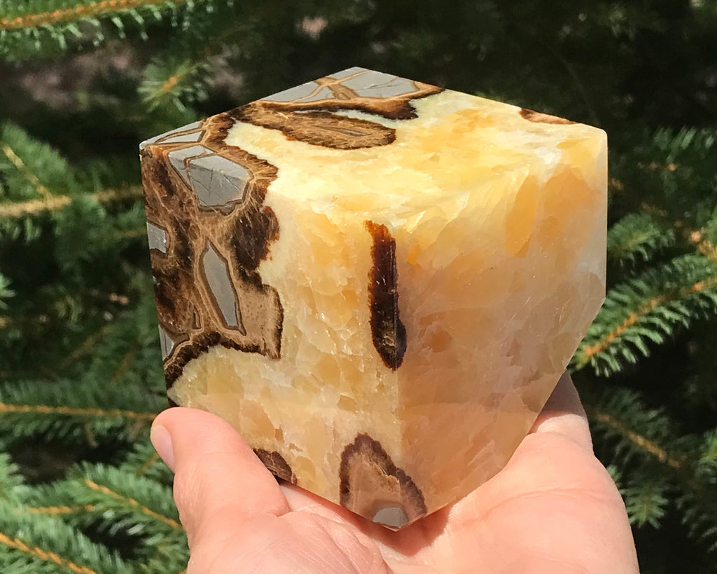 Crackle Patterned Septarian Cube