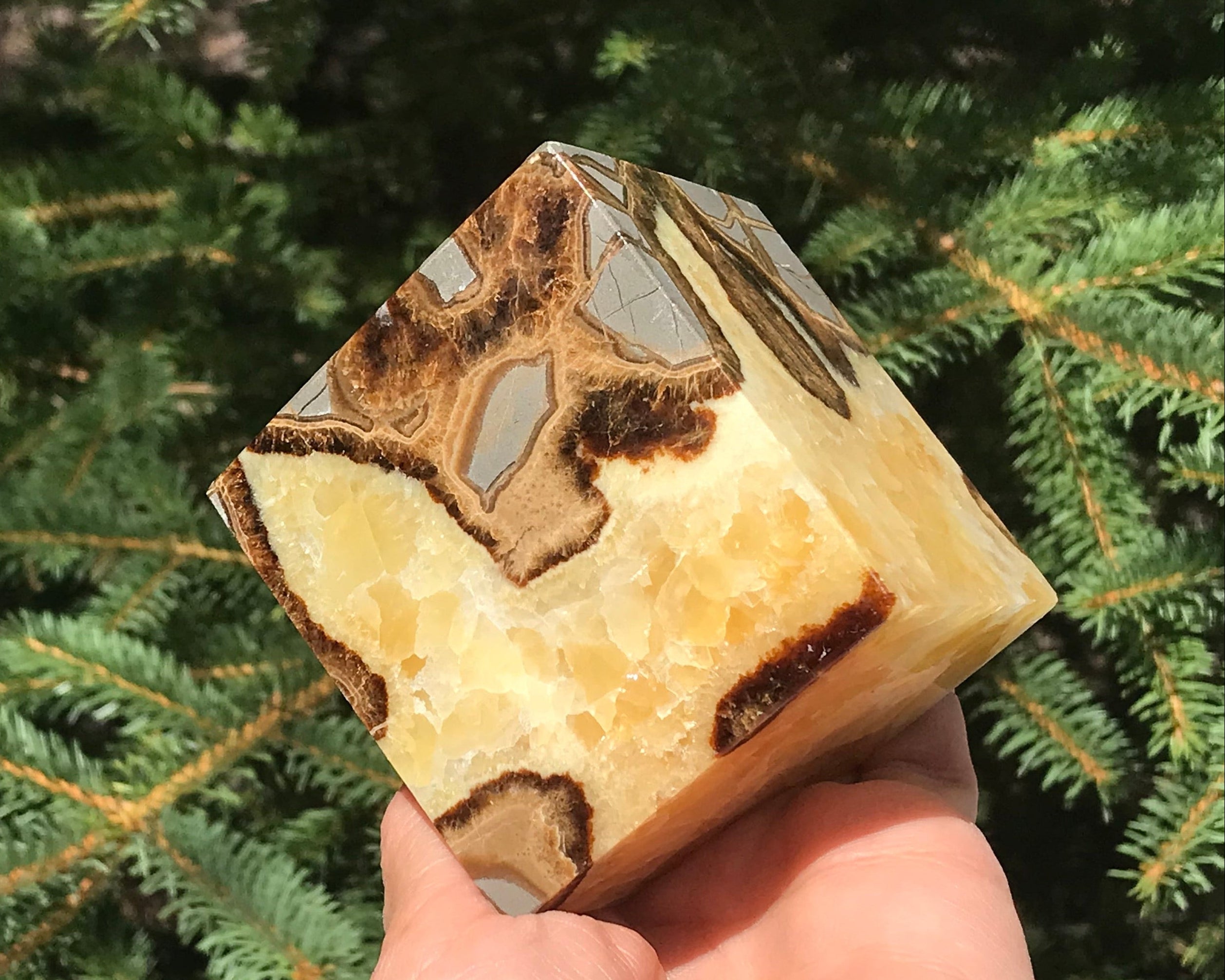 Crackle Patterned Septarian Cube