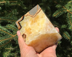 Crackle Patterned Septarian Cube