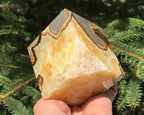 Crackle Patterned Septarian Cube