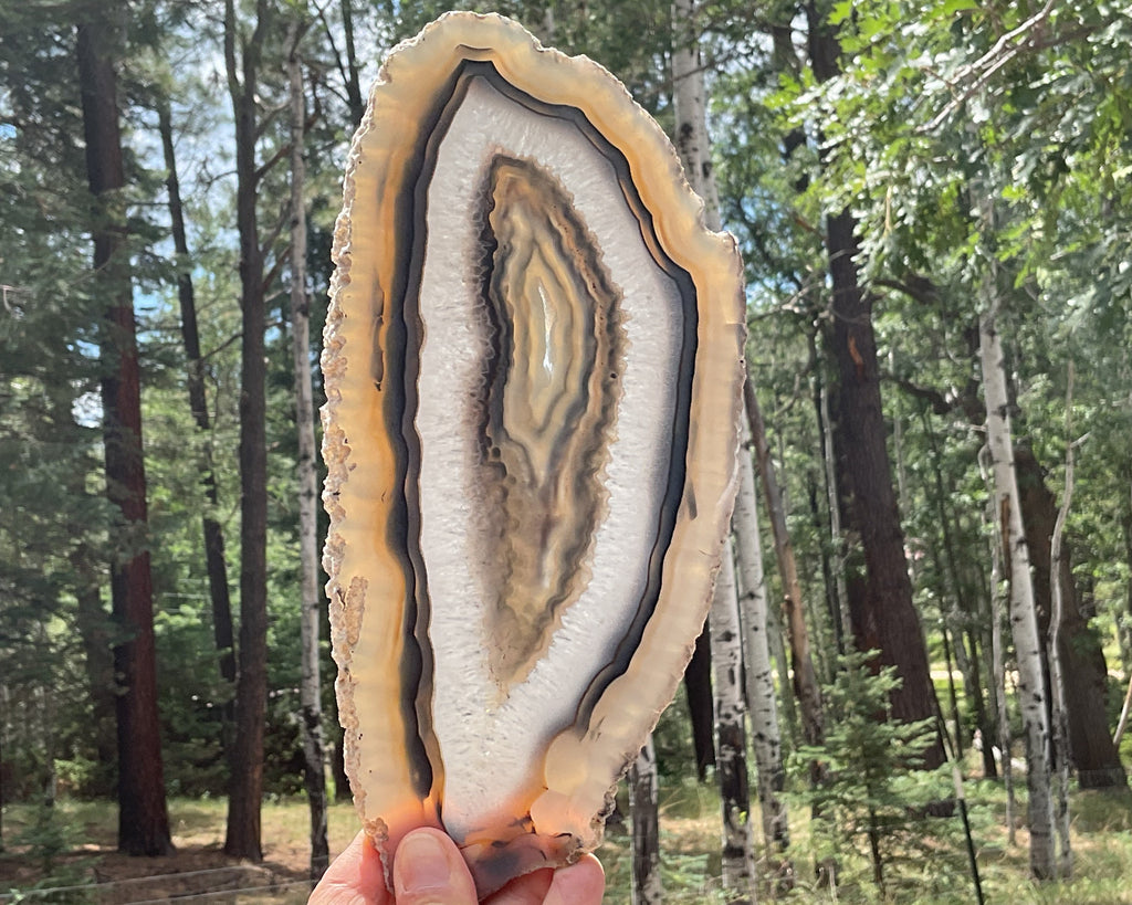 Gleaming Translucency Brazilian Agate Slice