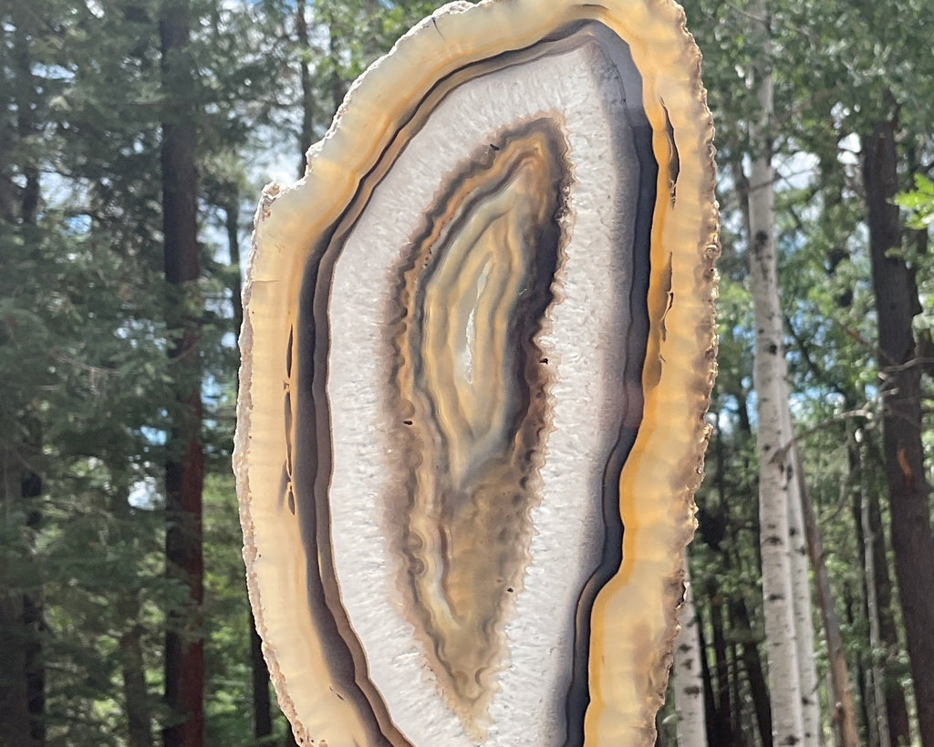 Gleaming Translucency Brazilian Agate Slice