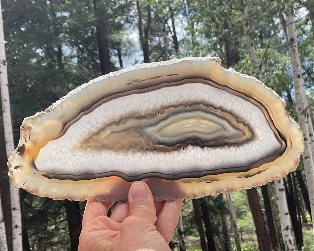 Gleaming Translucency Brazilian Agate Slice