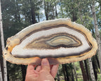 Gleaming Translucency Brazilian Agate Slice