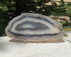 Gleaming Translucency Brazilian Agate Slice
