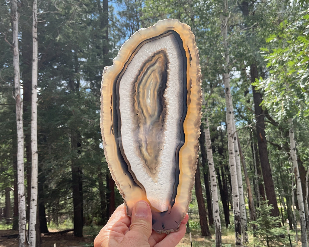 Gleaming Translucency Brazilian Agate Slice