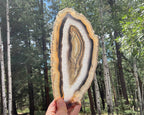 Gleaming Translucency Brazilian Agate Slice