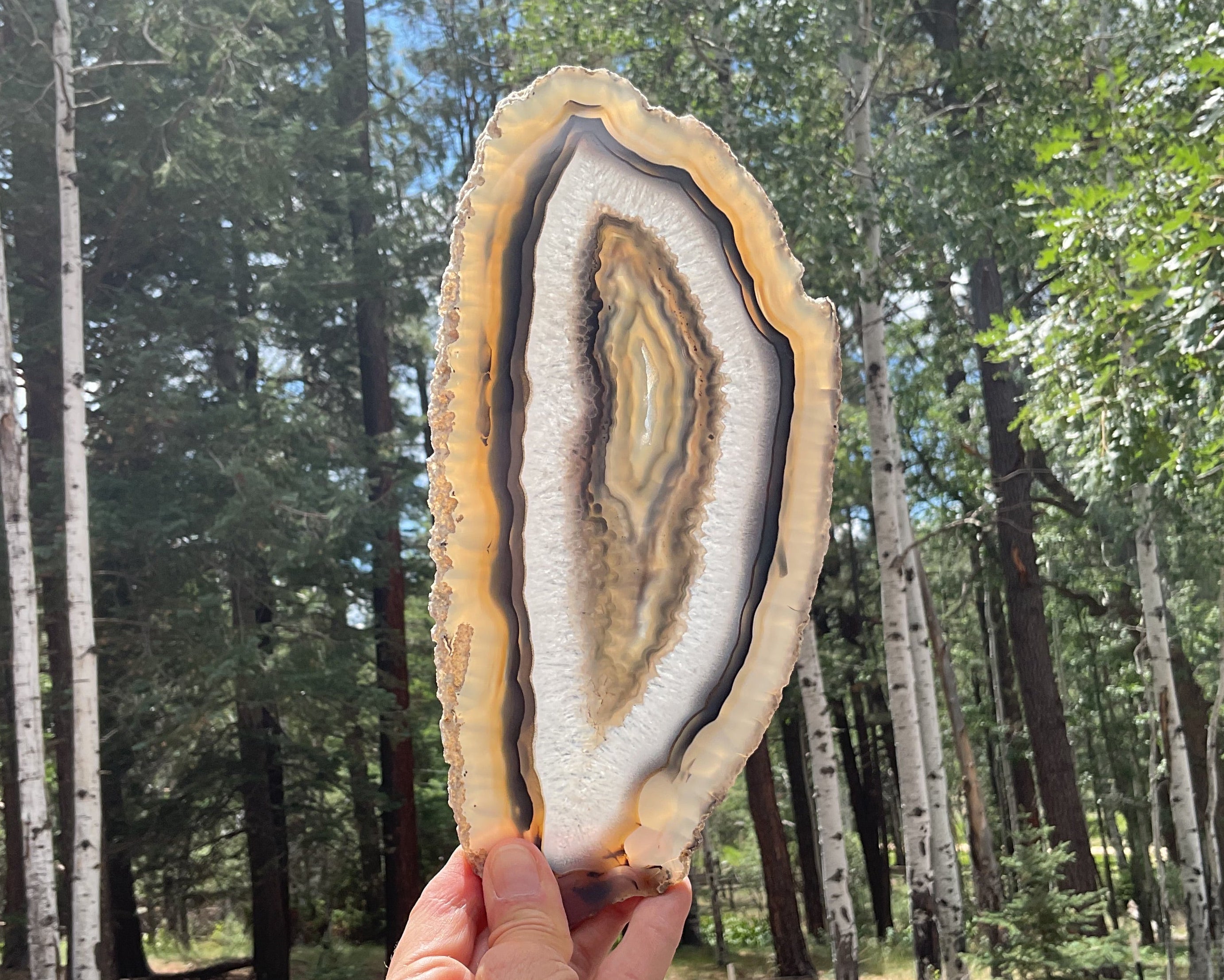 Gleaming Translucency Brazilian Agate Slice