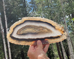 Gleaming Translucency Brazilian Agate Slice